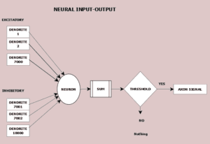 Neuron inputs and, if greater than threshold, an output