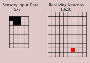 A pattern input, 5 pixels in the upper left. A winning receiving neuron, one neuron.