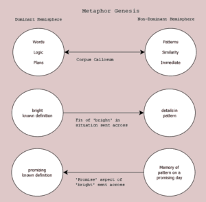 Metaphors in Cognitive Process