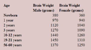 Human Brain Growth